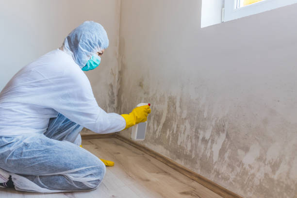 Licensed Commercial Mold Remediation service in Coral Springs, FL - WQB Mold Removal