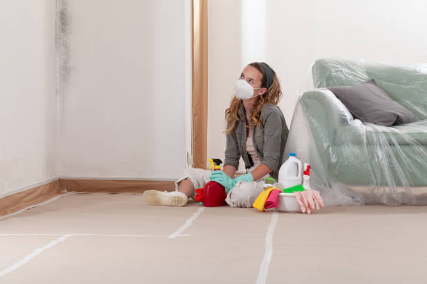 Reliable Commercial Mold Remediation contractor in Coral Springs, FL by WQB Mold Removal